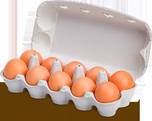Eier